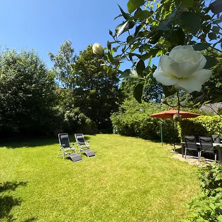 Luette Butze Apartament *